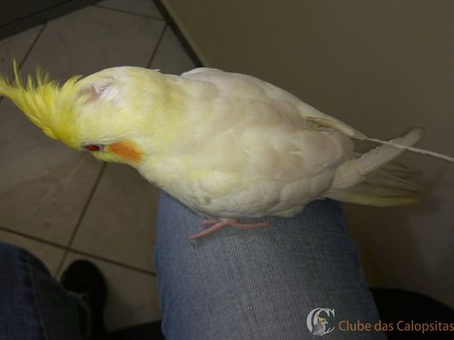 WhatsApp Image 2016-09-27 at 11.19.08 (7).jpeg