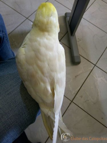 WhatsApp Image 2016-09-27 at 11.19.08 (6).jpeg