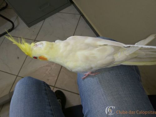 WhatsApp Image 2016-09-27 at 11.19.08 (3).jpeg