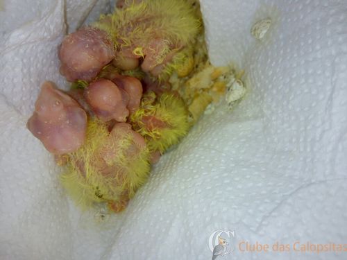 WhatsApp Image 2016-09-27 at 11.54.03.jpeg