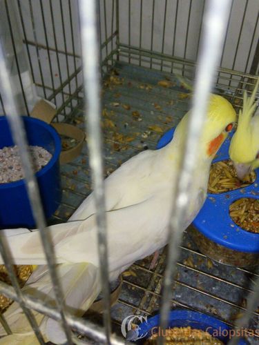 WhatsApp Image 2016-09-27 at 13.34.52 (1).jpeg