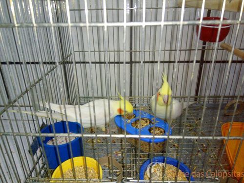 WhatsApp Image 2016-09-27 at 13.34.52.jpeg