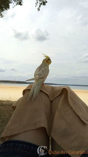 WhatsApp Image 2016-09-28 at 15.05.22.jpeg