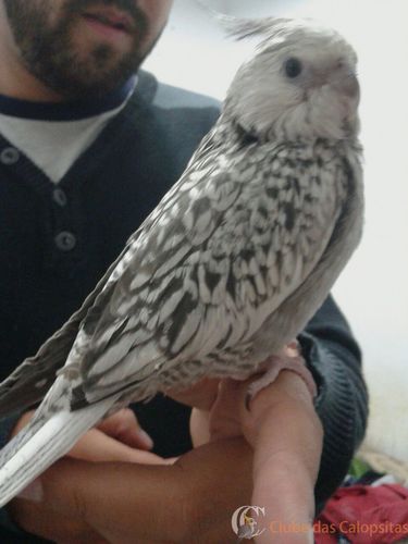 WhatsApp Image 2016-09-28 at 18.27.29.jpeg