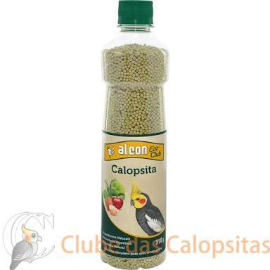 alconecoclubcalopsita.jpg