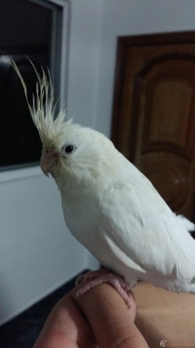 20160817_205845.jpg