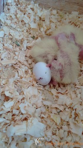 WhatsApp Image 2016-10-02 at 09.53.58.jpeg