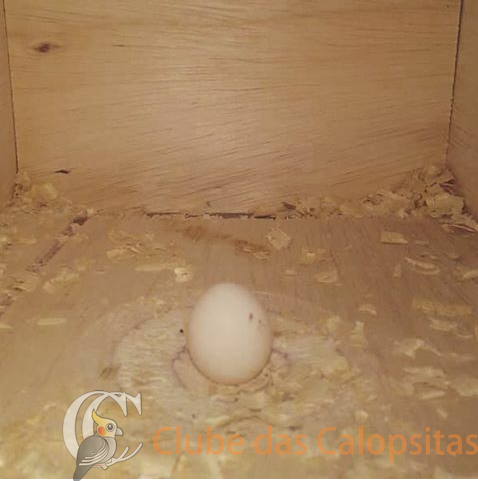 2016-10-04 09.02.25.png