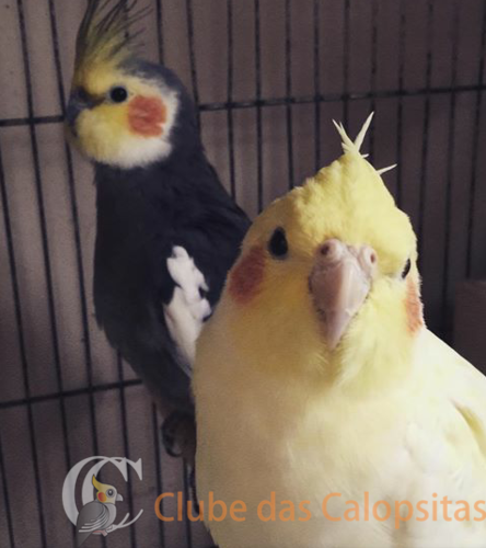 2016-10-04 09.01.29.png