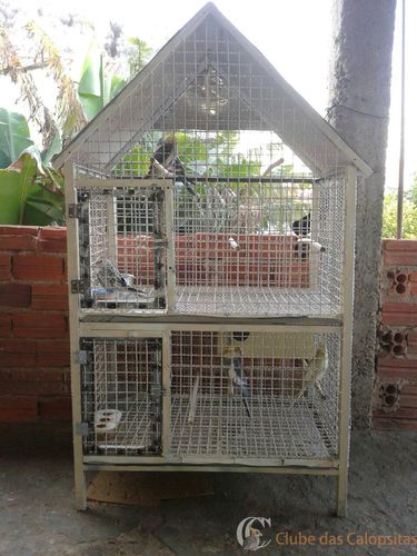 WhatsApp Image 2016-10-10 at 17.21.35.jpeg