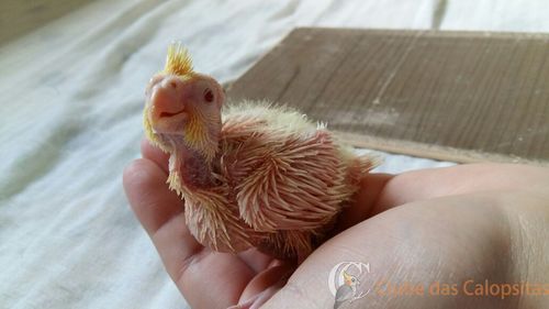 Bb 1 - 14-10-16.jpeg