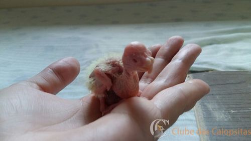 Bb 2 - 14-10-16.jpeg