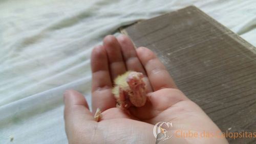 Bb 3 - 14-10-16.jpeg