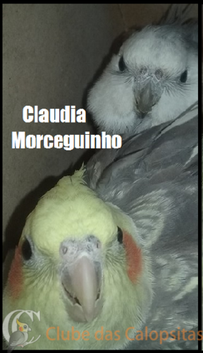 Claudia e morceguinho.png