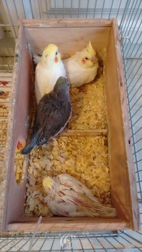 WhatsApp Image 2016-10-21 at 22.15.05.jpeg