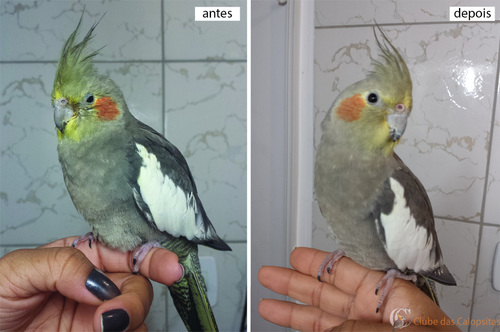 2016-10-26 15.04.19-1.jpg