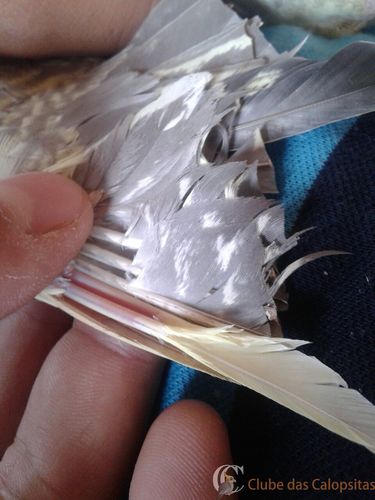 WhatsApp Image 2016-11-01 at 12.50.10.jpeg