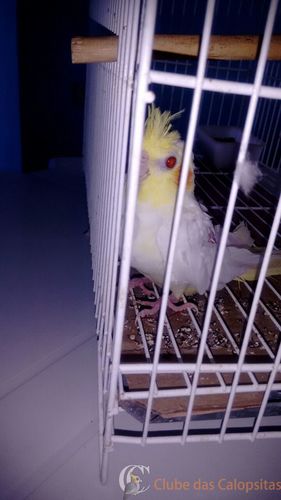 WhatsApp Image 2016-11-25 at 10.12.25.jpeg