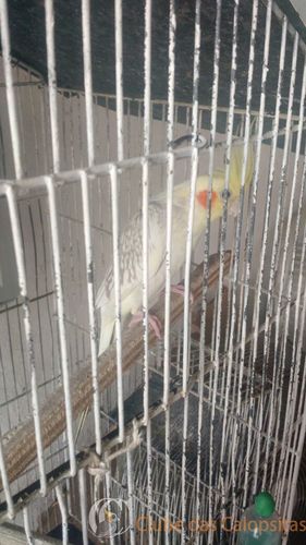 WhatsApp Image 2016-11-29 at 13.50.09.jpeg