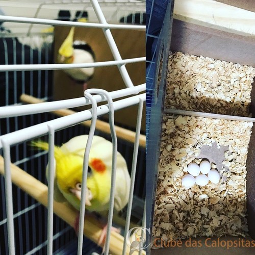 Foto 26-11-16 08 44 36.jpg