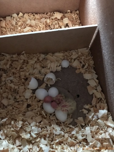 Foto 09-12-16 07 59 45.jpg