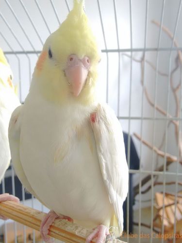 WhatsApp Image 2016-12-12 at 14.43.25 (1).jpeg