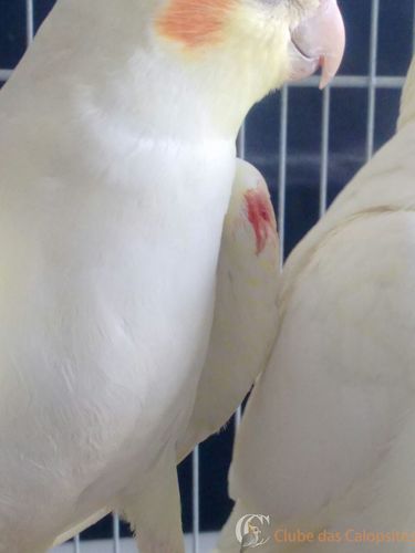 WhatsApp Image 2016-12-12 at 14.43.39.jpeg