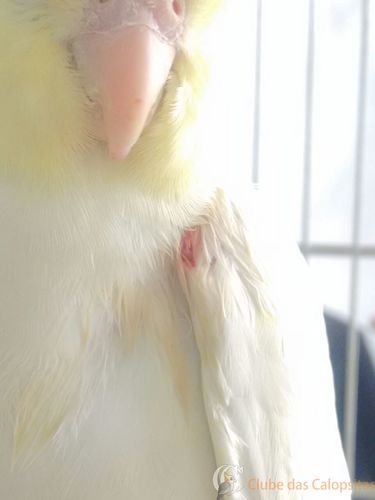 WhatsApp Image 2016-12-12 at 14.43.53.jpeg