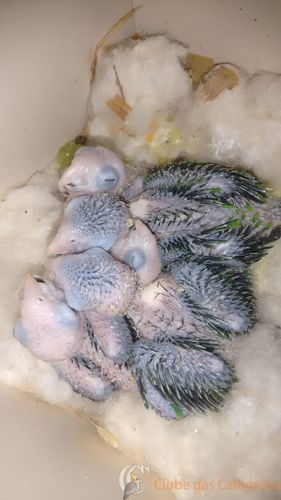 WhatsApp Image 2016-12-21 at 11.11.13.jpeg