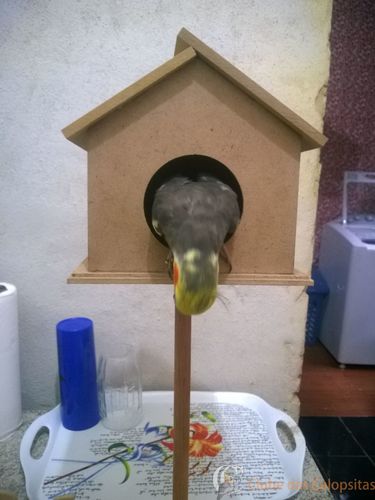 WhatsApp Image 2016-12-26 at 20.24.04.jpeg