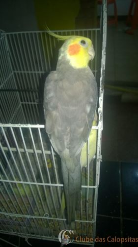 WhatsApp Image 2016-12-26 at 20.24.27.jpeg