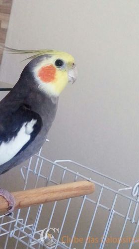 WhatsApp Image 2016-12-28 at 10.56.13 AM.jpeg