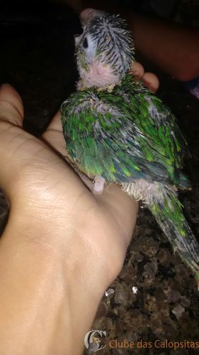 WhatsApp Image 2016-12-29 at 10.20.26.jpeg