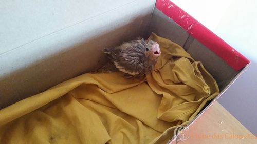 WhatsApp Image 2016-12-30 at 10.06.04.jpeg