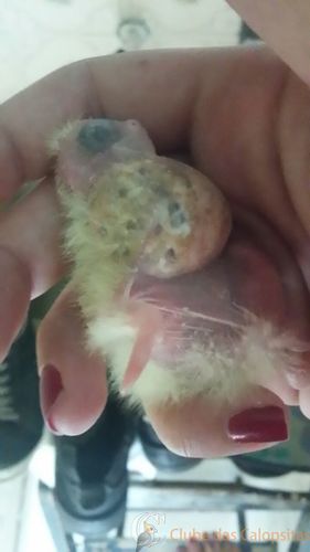 WhatsApp Image 2016-12-30 at 18.37.27.jpeg