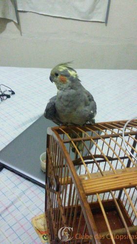 WhatsApp Image 2016-11-21 at 21.30.25.jpeg