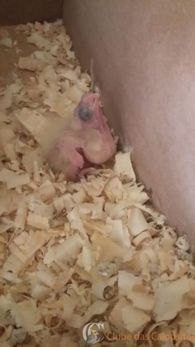 WhatsApp Image 2016-12-31 at 12.04.15.jpeg