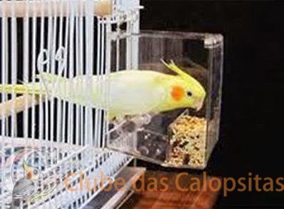 Comedouro Europeu.JPG