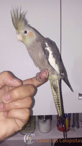 WhatsApp Image 2017-01-04 at 22.07.51.jpeg