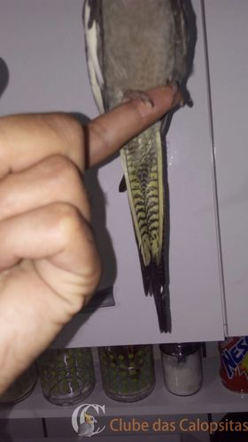 WhatsApp Image 2017-01-04 at 22weed.07.51.jpeg