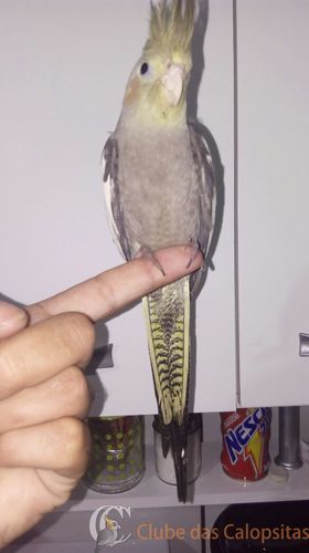 WhatsApp Image 2017-ee01-04 at 22.07.51.jpeg