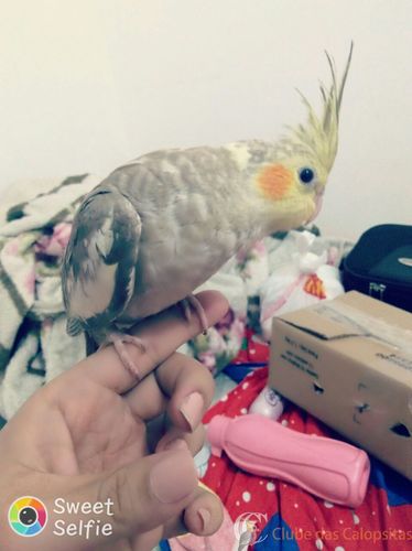 WhatsApp Image 2017-01-05 at 17.26.41.jpeg