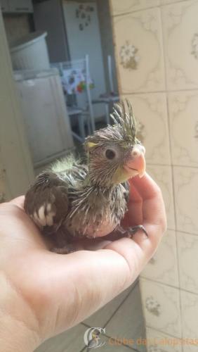 WhatsApp Image 2017-01-18 at 22.57.06.jpeg