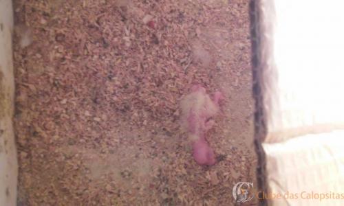 WhatsApp Image 2017-01-19 at 8.23.36 PM.jpeg