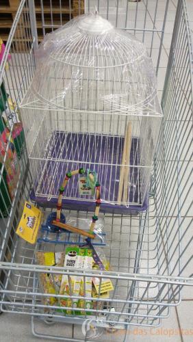 WhatsApp Image 2016-12-17 at 16.23.01.jpeg