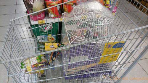 WhatsApp Image 2016-12-17 at 16.23.21.jpeg