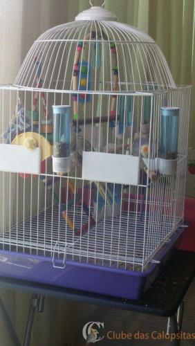 WhatsApp Image 2017-01-09 at 13.05.35.jpeg