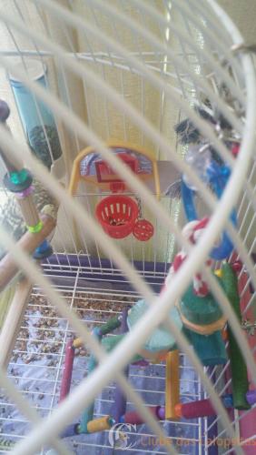 WhatsApp Image 2017-01-09 at 13.06.35.jpeg