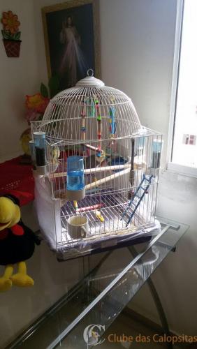 WhatsApp Image 2017-01-22 at 11.26.50.jpeg