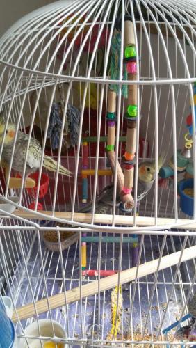 WhatsApp Image 2017-01-22 at 11.26.57.jpeg